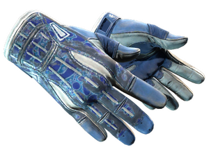 ★ Sport Gloves | Amphibious