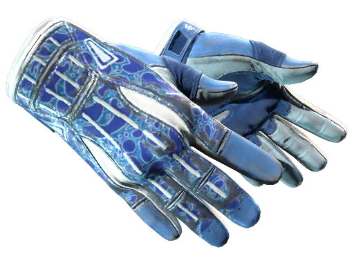 ★ Sport Gloves | Amphibious (Field-Tested)