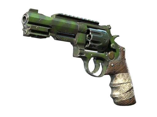 R8 Revolver | Survivalist (Well-Worn)