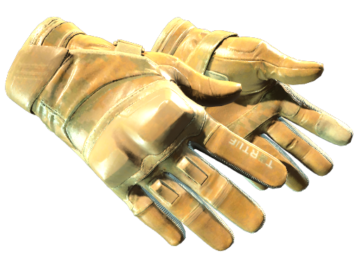 ★ Moto Gloves | Transport (Factory New)