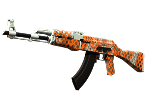 AK-47 | Safety Net