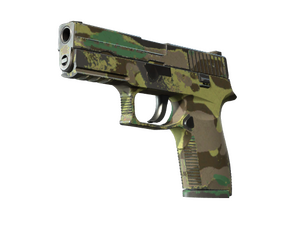 P250 | Boreal Forest