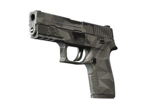 P250 | Facets