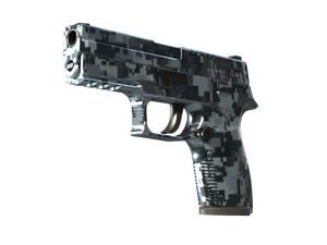 P250 | Steel Disruption