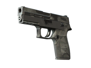P250 | Facets