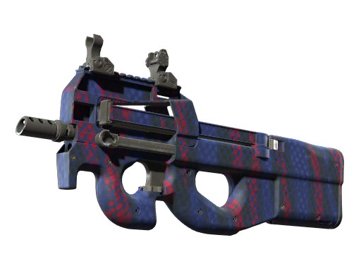 P90 | Teardown (Minimal Wear)