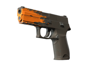 ST™ P250 | Splash