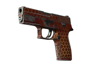 ST™ P250 | Hive