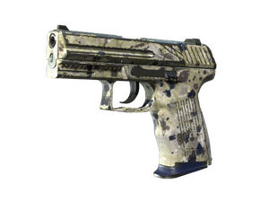 Souvenir P2000 | Granite Marbleized