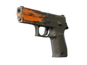 ST™ P250 | Splash