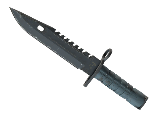 ★ M9 Bayonet | Night (Field-Tested)