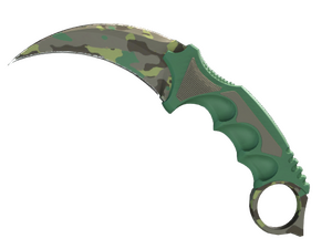 ★ Karambit | Boreal Forest