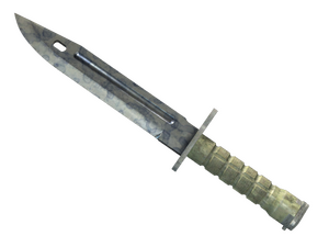 ★ Bayonet | Stained