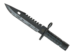 ★ M9 Bayonet | Night