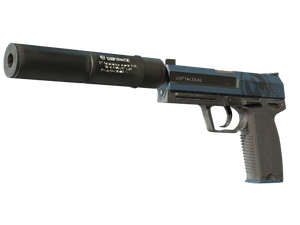 ST™ USP-S | Guardian