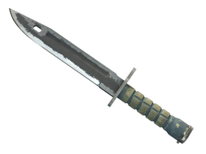 ★ Bayonet | Night