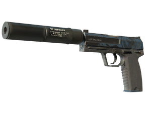 ST™ USP-S | Guardian