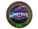 Winstrike Team (Holo) | Katowice 2019