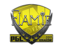 flamie | Krakow 2017