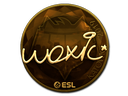 woxic (Gold) | Katowice 2019