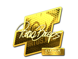 pashaBiceps (Gold) | Atlanta 2017