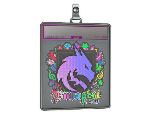 Sticker Slab: Team Spirit (Holo) | Budapest 2025