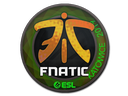 Fnatic (Holo) | Katowice 2019