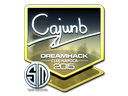 cajunb (Foil) | Cluj-Napoca 2015