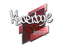 Kjaerbye | Boston 2018