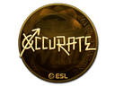 xccurate (Gold) | Katowice 2019