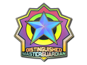 Distinguished Master Guardian (Holo)