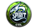 Team Spirit (Foil) | Katowice 2019
