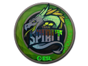 Team Spirit (Holo) | Katowice 2019