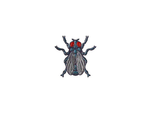 Fruit Fly (Foil)