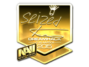 seized (Gold) | Cluj-Napoca 2015