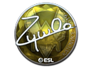 ZywOo (Foil) | Katowice 2019