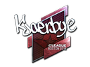 Kjaerbye (Foil) | Boston 2018