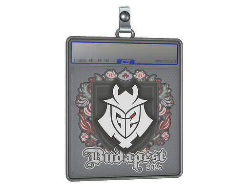 Sticker Slab: G2 esports | Budapest 2025