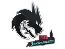 Team Spirit | Stockholm 2021