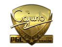 cajunb (Gold) | Krakow 2017