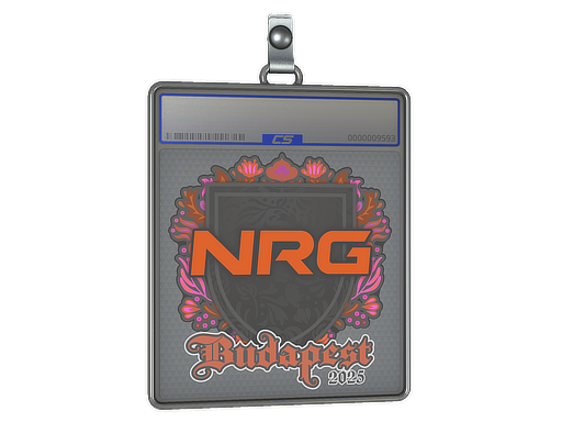 Sticker Slab: NRG | Budapest 2025