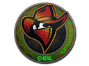 Renegades (Holo) | Katowice 2019