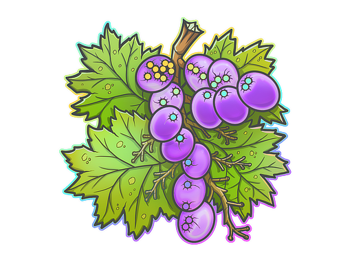 From The Vine (Holo)