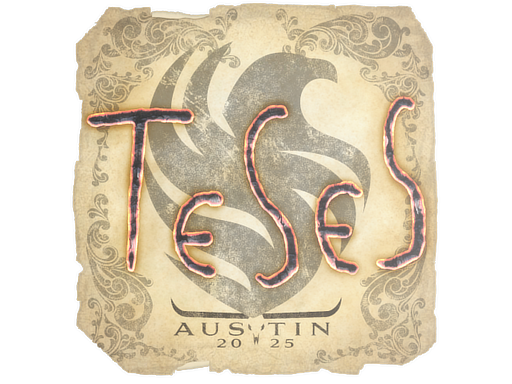 TeSeS | Austin 2025