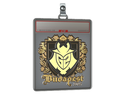Sticker Slab: G2 esports (Gold) | Budapest 2025