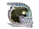 FURIA (Foil) | 2020 RMR