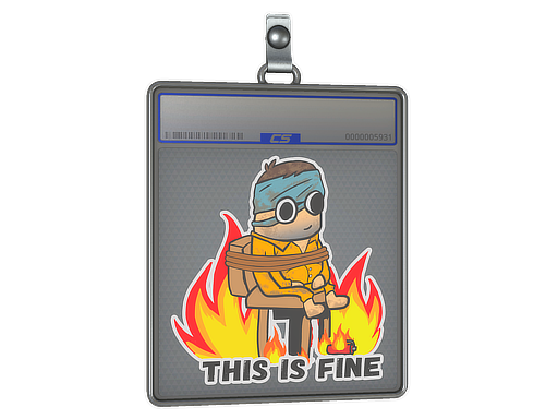 Sticker Slab: This Is Fine (H)