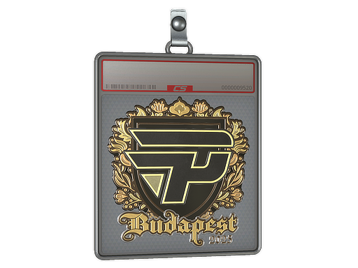 Sticker Slab: paiN Gaming (Gold) | Budapest 2025