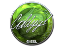 COLDYY1 (Foil) | Katowice 2019