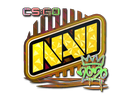 Natus Vincere (Holo) | 2020 RMR
